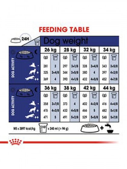 SHN MAXI ADULT 5+_web6